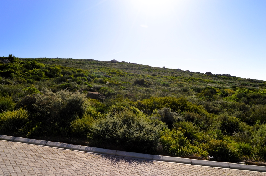 0 Bedroom Property for Sale in Steenbergs Cove Western Cape
